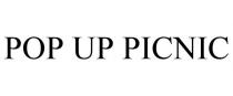 POP UP PICNIC