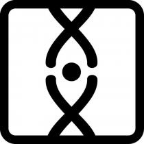 XX