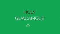 HOLY GUACAMOLE SA
