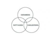 FATTY ACIDS CERAMIDES CHOLESTEROL