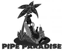 PIPE PARADISE