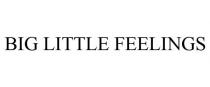 BIG LITTLE FEELINGS