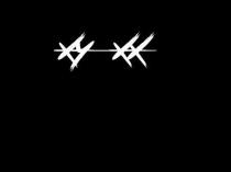 XY XX