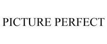 PICTURE PERFECT