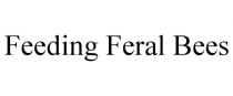 FEEDING FERAL BEES