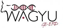 WAGYU GE-EPD