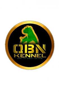 QBN KENNEL QUALITY BULLY NATION