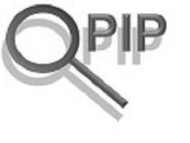 Q PIP