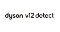 DYSON V12 DETECT
