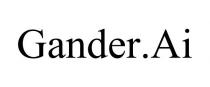 GANDER.AI