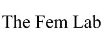 THE FEM LAB