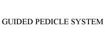 GUIDED PEDICLE SYSTEM