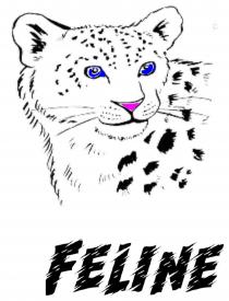 FELINE
