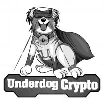 UNDERDOG CRYPTO