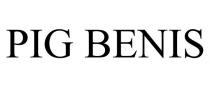 PIG BENIS