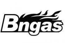 BNGAS