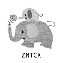 ZNTCK