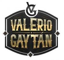 VG VALERIO GAYTN