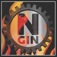 N GIN