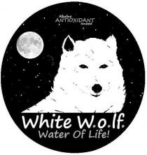 ALKALINE ANTIOXIDANT IONIZED WHITE W.O.LF. WATER OF LIFE!