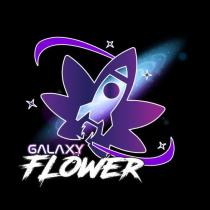 GALAXY FLOWER