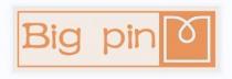 BIG PIN