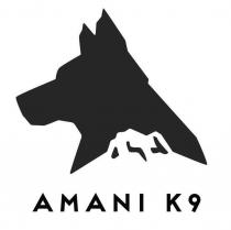 AMANI K9