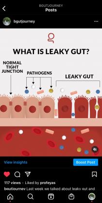 G IN LOWERCASE FORM WITH THE FORM OF THE INTESTINE MAINLY THE GUT