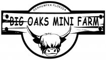 BIG OAKS MINI FARM OKAHUMPKA FLORIDA