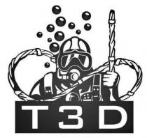 T3D