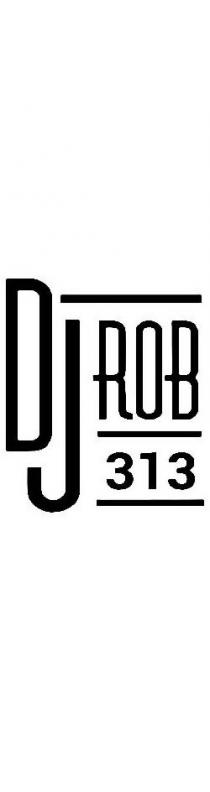 DJROB313