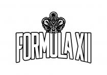 FORMULA XII