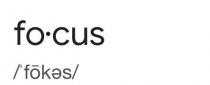 FOCUS /'FOKES/