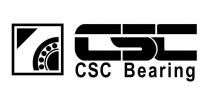 CSC CSC BEARING