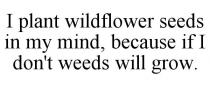 I PLANT WILDFLOWER SEEDS IN MY MIND, BECAUSE IF I DON'T WEEDS WILL GROW.