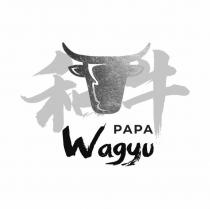 PAPA WAGYU ??