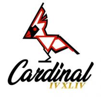 CARDINAL IV XL IV