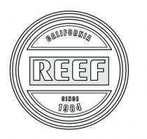 REEF CALIFORNIA SINCE 1984