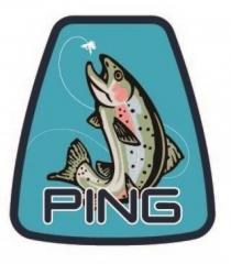 PING