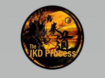 THE JKD PROCESS