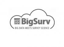 BIGSURV BIG DATA MEETS SURVEY SCIENCE