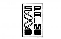 5PRIME 3