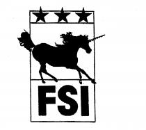 FSI