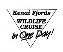 KENAI FJORDS WILDLIFE CRUISE IN ONE DAY!