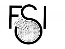 FSI
