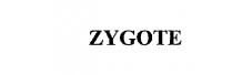 ZYGOTE