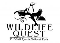 WILDLIFE QUEST IN KENAI FJORDS NATIONALPARK