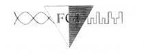 FGI