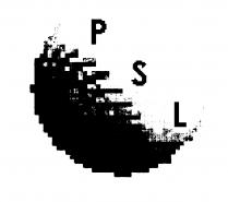 THE PSEUDO SPORTS LEAGUES
