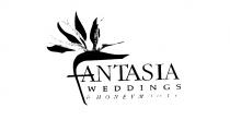 FANTASIA WEDDINGS & HONEYMOONS